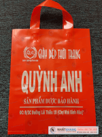 In Túi Ni Lông PE Bóng Giá Rẻ