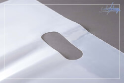 Túi hột xoài trong suốt